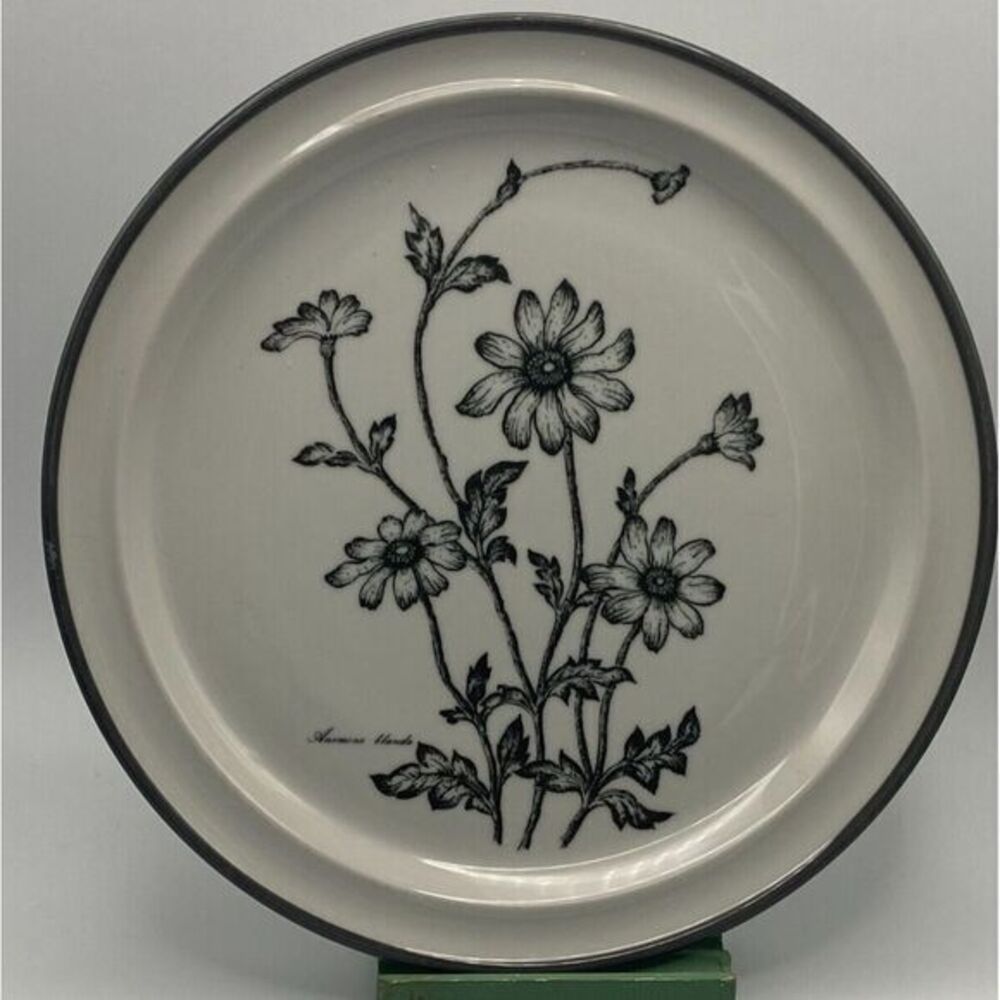 Noritake Stoneware Alpine Flowers Black Dinner Plate (S)